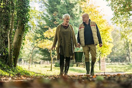 Senior couple with bucket of apples in orchard Stock Photo - Premium Royalty-Free, Code: 649-07520204