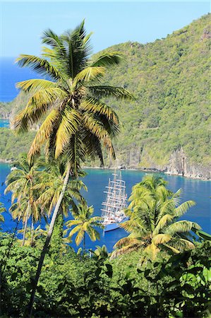 simsearch:649-07063397,k - Palm trees and sailing ship, St Lucia, Caribbean Foto de stock - Sin royalties Premium, Código: 649-07520850
