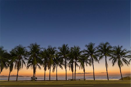 Row of palm trees on Copacabana beach, Rio De Janeiro, Brazil Stockbilder - Premium RF Lizenzfrei, Bildnummer: 649-07521149