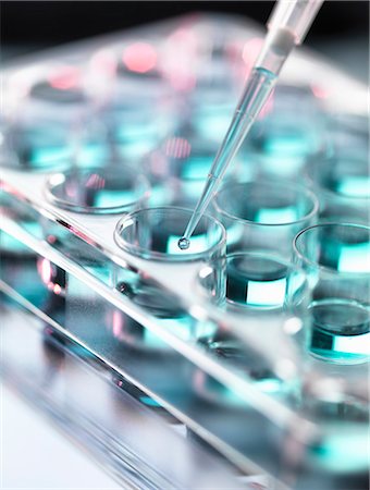 Pipetting sample into multi well tray Stock Photo - Premium Royalty-Free, Code: 649-07560338