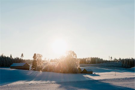 Sun rising over cabins Stock Photo - Premium Royalty-Free, Code: 649-07585214