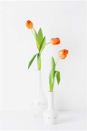 flowers in a vase - Still life of two vases and orange tulips Stock Photo - Premium Royalty-Free, Code: 649-07596076