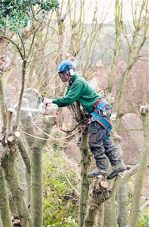 simsearch:649-06622380,k - Tree surgeon working up a tree using chainsaw Foto de stock - Sin royalties Premium, Código: 649-07596339