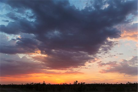 safaring - Silhouetted landscape at sunset, Kasane, Chobe National Park, Botswana, Africa Photographie de stock - Premium Libres de Droits, Code: 649-07596642