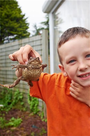 Portrait of young boy in garden holding up toad Stock Photo - Premium Royalty-Free, Code: 649-07648230