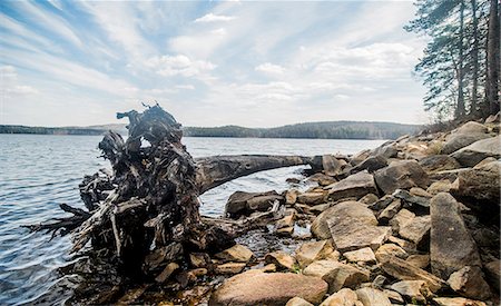simsearch:614-07487145,k - View of lake with rocks and old fallen tree Photographie de stock - Premium Libres de Droits, Code: 649-07736828