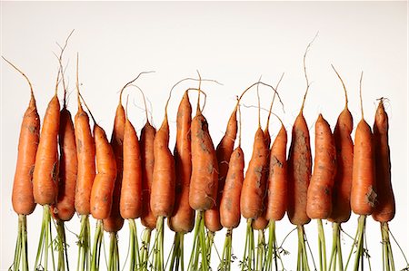 simsearch:649-06164558,k - A row of upside down fresh carrots with roots Photographie de stock - Premium Libres de Droits, Code: 649-07803604
