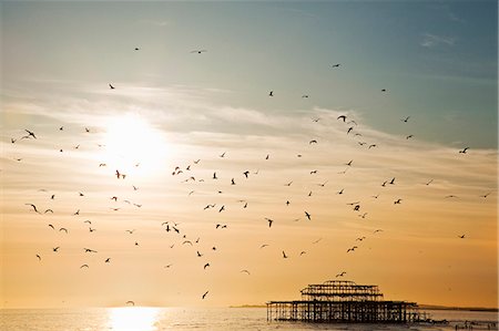 deserted - Silhouetted view of seagulls flying over Brighton pier, Brighton, Sussex, UK Stock Photo - Premium Royalty-Free, Code: 649-08060364