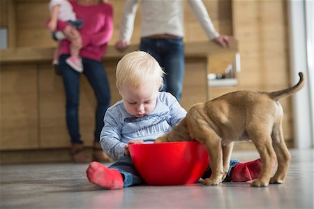 simsearch:649-08422552,k - Male toddler watching puppy feeding from bowl in dining room Foto de stock - Sin royalties Premium, Código: 649-08060404