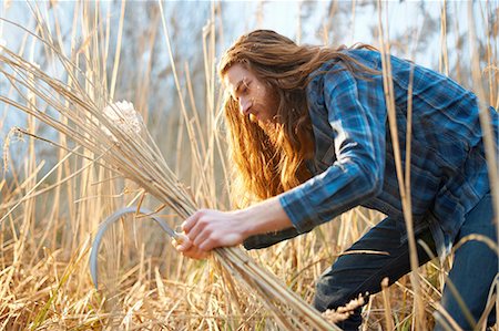 simsearch:649-08086253,k - Man harvesting wheat with scythe Stock Photo - Premium Royalty-Free, Code: 649-08086257