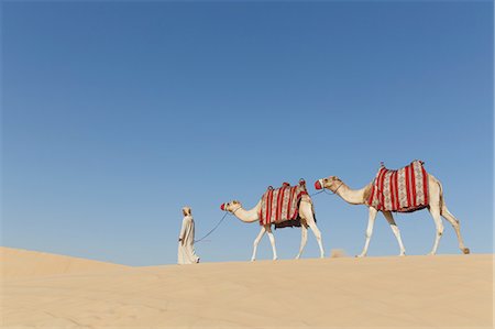 Bedouin walking with two camels in desert, Dubai, United Arab Emirates Photographie de stock - Premium Libres de Droits, Code: 649-08086470