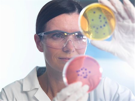 Scientist examining set of petri dishes in microbiology lab Stock Photo - Premium Royalty-Free, Code: 649-08125187