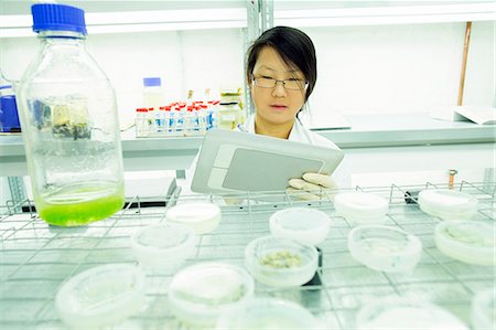 simsearch:649-07585094,k - Female scientist using digital tablet in plant sample lab Stock Photo - Premium Royalty-Free, Code: 649-08126072