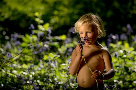 descamisado - Young boy smelling bluebell in bluebell forest Foto de stock - Sin royalties Premium, Código: 649-08145252