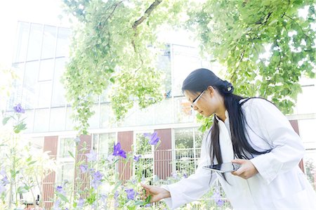 simsearch:649-07585094,k - Young female scientist with digital tablet outside laboratory selecting specimen plants Stock Photo - Premium Royalty-Free, Code: 649-08180585