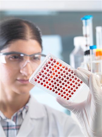 simsearch:649-07279799,k - Female scientist examining micro plate blood samples in laboratory Stock Photo - Premium Royalty-Free, Code: 649-08180604