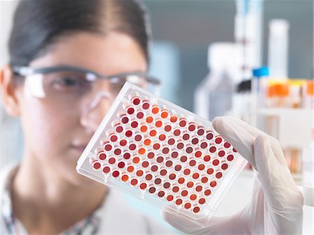 simsearch:649-07279799,k - Close up of female scientist examining micro plate blood samples in laboratory Stock Photo - Premium Royalty-Free, Code: 649-08180603