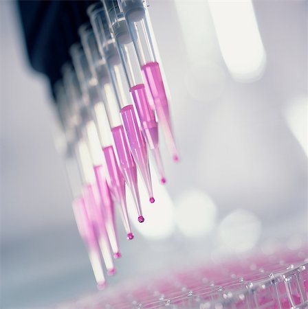 simsearch:649-07279799,k - Samples being tested in a lab by using a multi pipette to place samples in a multi well tray ready for automated analysis Stock Photo - Premium Royalty-Free, Code: 649-08237895