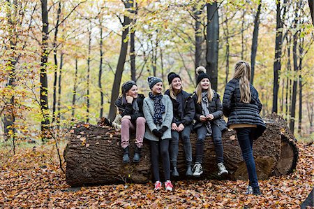 fall leaves teenagers - Girls chatting on tree trunk in autumn forest Stock Photo - Premium Royalty-Free, Code: 649-08306772