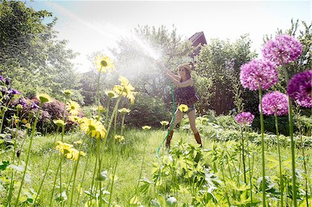 View through flowers of mature woman in garden watering flowers with hosepipe Foto de stock - Sin royalties Premium, Código: 649-08381068