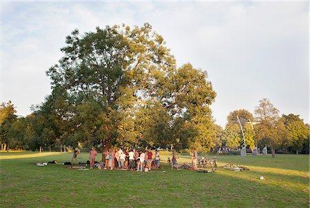 simsearch:649-08381087,k - Distant view of adult crowd under a tree at sunset party in park Foto de stock - Sin royalties Premium, Código: 649-08381085