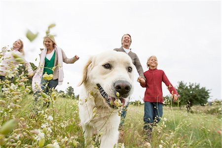 simsearch:649-07803505,k - Happy family running with pet dog in park Stock Photo - Premium Royalty-Free, Code: 649-08548425