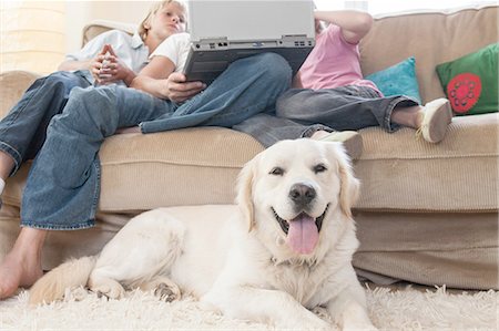 simsearch:649-08004031,k - Family using laptop on couch, pet dog in foreground Stock Photo - Premium Royalty-Free, Code: 649-08548421