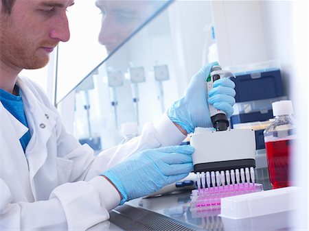 Scientist using multi well pipette to fill multi well plate in biological safety cabinet in laboratory, Jenner Institute, Oxford University Stock Photo - Premium Royalty-Free, Code: 649-08543833