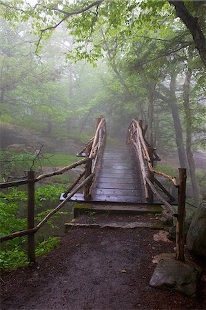 simsearch:614-05955565,k - Walking bridge in a forest, Minnewaska State Park Preserve, New York, USA Photographie de stock - Premium Libres de Droits, Code: 649-08564138