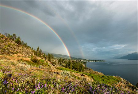 simsearch:614-07487145,k - Summer storm and double rainbow over Ponderosa Pine trees, Okanagan Lake and the South Okanagan Valley Naramata, British Columbia, Canada Photographie de stock - Premium Libres de Droits, Code: 649-08565698
