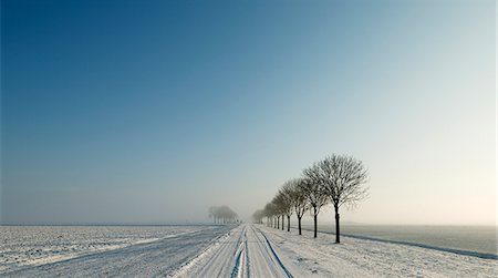 simsearch:614-06718312,k - Trees along snowy rural road Photographie de stock - Premium Libres de Droits, Code: 649-08561993