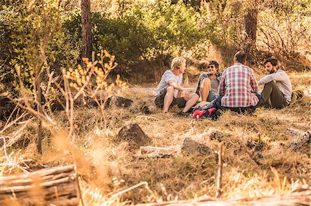 simsearch:649-08085723,k - Four male hikers sitting chatting in forest, Deer Park, Cape Town, South Africa Foto de stock - Sin royalties Premium, Código: 649-08576311