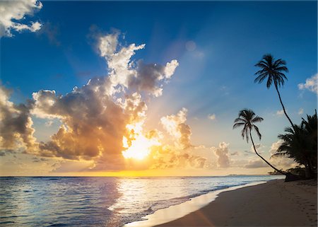 paradise (place of bliss) - Palm tree silhouetted on beach at sunset, Dominican Republic, The Caribbean Stock Photo - Premium Royalty-Free, Code: 649-08577311