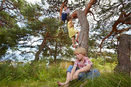 simsearch:649-06845253,k - Young boy sitting in tree, young girl climbing rope ladder on tree and boy sitting in grass Stock Photo - Premium Royalty-Free, Code: 649-08702219