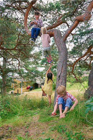 simsearch:649-06845253,k - Group of young friends playing outdoors, climbing tree Stock Photo - Premium Royalty-Free, Code: 649-08702235