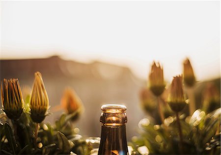 Top of glass bottle, flowers behind Stock Photo - Premium Royalty-Free, Code: 649-08702251
