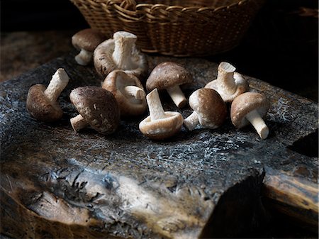 shiitak - Fresh organic shitake mushrooms Stock Photo - Premium Royalty-Free, Code: 649-08745170