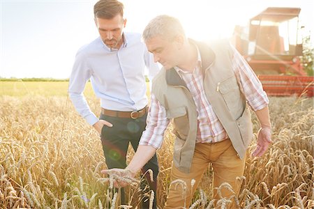 fazendeiro (homem) - Farmer and businessman in wheat field quality checking wheat Foto de stock - Royalty Free Premium, Número: 649-08825153
