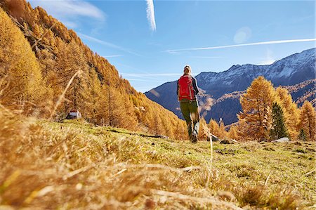simsearch:649-08086253,k - Woman hiking, rear view, Schnalstal, South Tyrol, Italy Stock Photo - Premium Royalty-Free, Code: 649-08840497