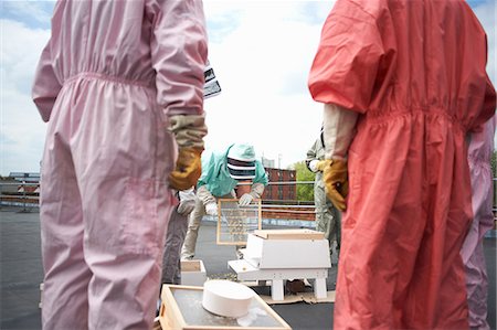 protective glove - Group of beekeepers inspecting hive Stock Photo - Premium Royalty-Free, Code: 649-08860419