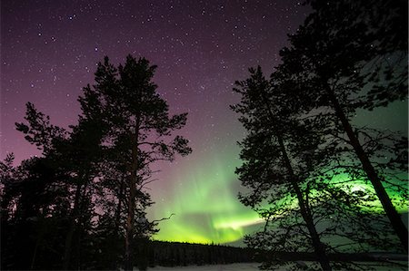peace landscape night - Northern lights over Lapland forest, Jukkasjarvi, Sweden Stock Photo - Premium Royalty-Free, Code: 649-08860436
