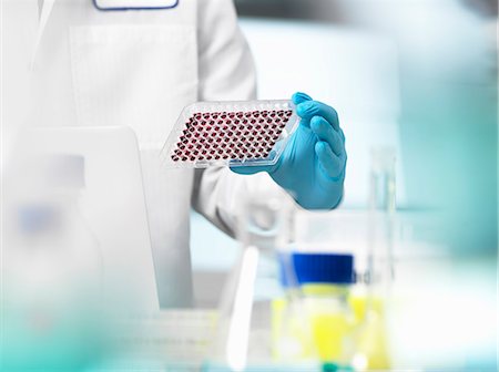 simsearch:649-08085222,k - Scientist preparing blood samples in a multi well plate for clinical testing in a laboratory Stock Photo - Premium Royalty-Free, Code: 649-08894946