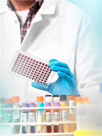 simsearch:649-07585094,k - Scientist preparing blood samples in a multi well plate for clinical testing in a laboratory Stock Photo - Premium Royalty-Free, Code: 649-08894950
