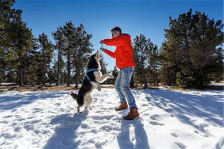 simsearch:400-05724021,k - Mature man playing with dog in snow covered forest Stock Photo - Premium Royalty-Free, Code: 649-08900382
