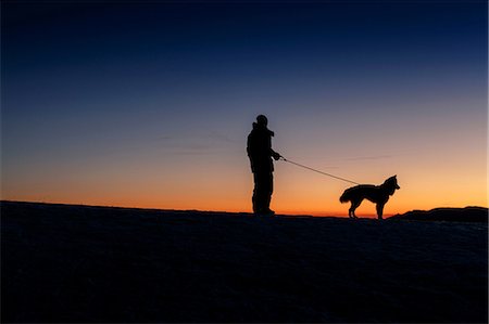 simsearch:400-05724021,k - Silhouetted side view of man and dog standing on hill horizon at night Stock Photo - Premium Royalty-Free, Code: 649-08900396