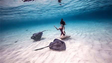 Female free diver kneeling near stingrays on seabed Photographie de stock - Premium Libres de Droits, Code: 649-08902259