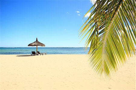 Beach with palm tree, loungers and parasol, Mauritius Stock Photo - Premium Royalty-Free, Code: 649-08922984