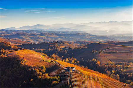 View from hot air balloon of rolling landscape and autumn vineyards, Langhe, Piedmont, Italy Stock Photo - Premium Royalty-Free, Code: 649-08923157