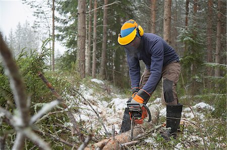 simsearch:649-06622380,k - Logger sawing tree, Tammela, Forssa, Finland Foto de stock - Sin royalties Premium, Código: 649-08923475