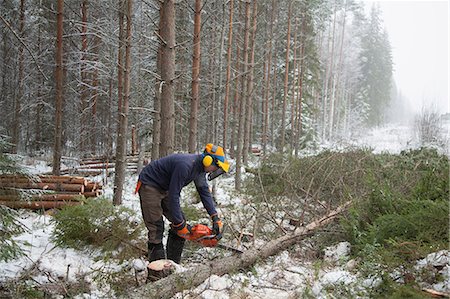 simsearch:649-06622380,k - Logger sawing tree, Tammela, Forssa, Finland Foto de stock - Sin royalties Premium, Código: 649-08923481